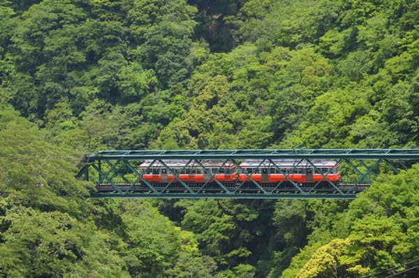【松山空港発】 屋形船からご観賞! 第49回隅田川花火大会と空・列車で巡る箱根ゴールデンルート 富士山絶景 3日間3
